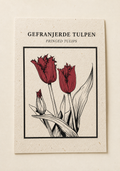 Gefranjerde Tulpen ansichtkaart op Tulpenbollenpapier