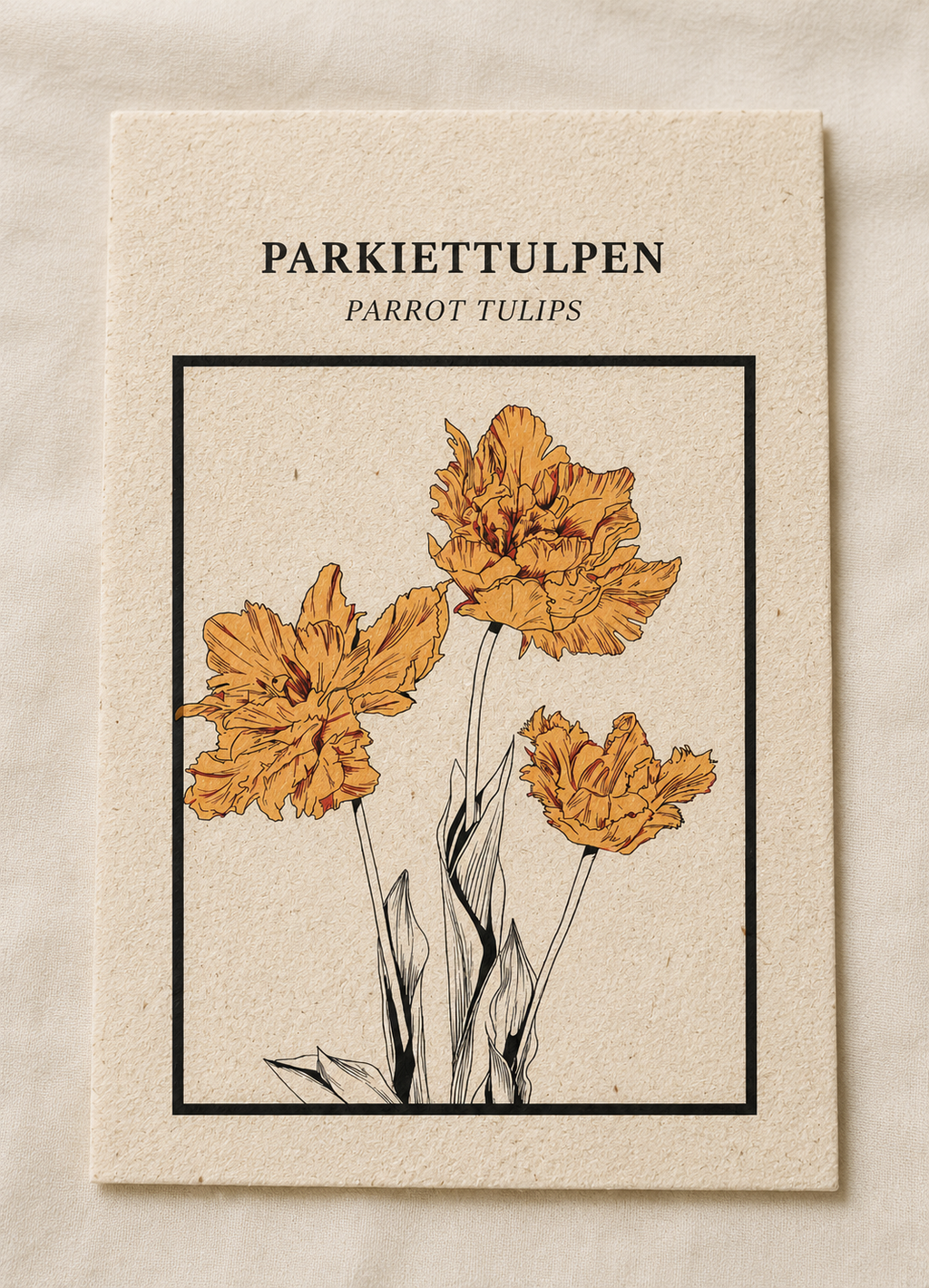 Parkiettulpen ansichtkaart op Tulpenbollenpapier