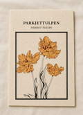 Parkiettulpen ansichtkaart op Tulpenbollenpapier